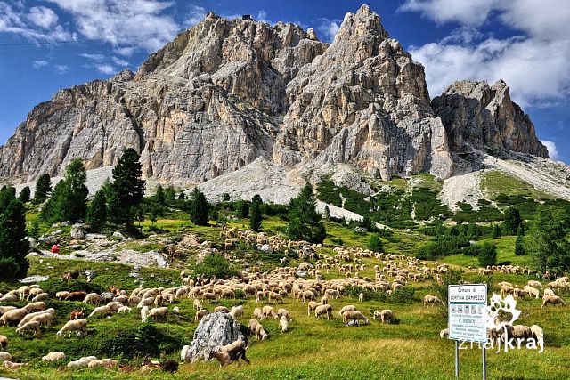 masyw-tofane-nad-zjazdem-do-cortiny-dampezzo-alpy-2012-szymon-nitka-0296.jpg