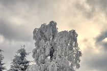 Na Hali Izerskiej Na Hali Izerskiej