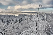 Widok na Smrek i Stóg Izerski Widok na Smrek i Stóg Izerski