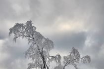 Widoki z Hali Izerskiej Widoki z Hali Izerskiej