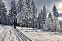 Zjazd w kierunku Chatki Górzystów Zjazd w kierunku Chatki Górzystów