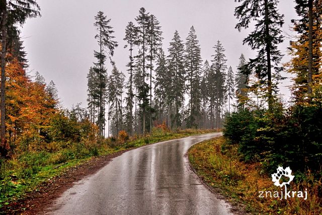 deszczowy-beskid-slaski-beskid-slaski-20