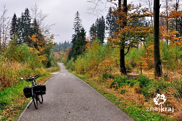 droga-miedzy-kubalonka-i-stecowka-beskid