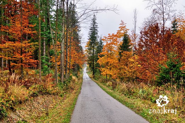 droga-w-dolinie-krezelki-beskid-slaski-2