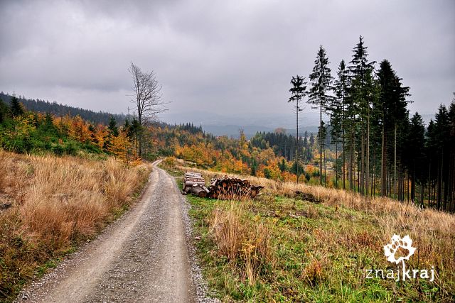 jesien-nad-szarcula-beskid-slaski-2015-s