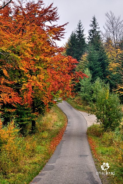 jesienna-droga-w-kierunku-stecowki-beski