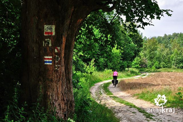 rowerowy-szlak-orlich-gniazd-jura-2016-s