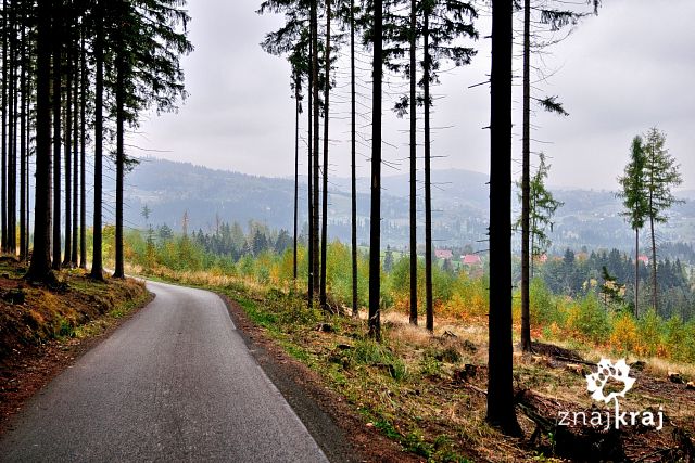 trasa-rowerowa-w-beskidzie-slaskim-beski