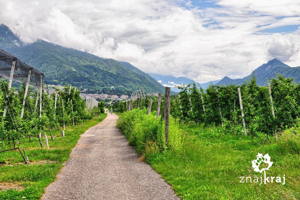 droga-rowerowa-dolina-valsugana-trentino