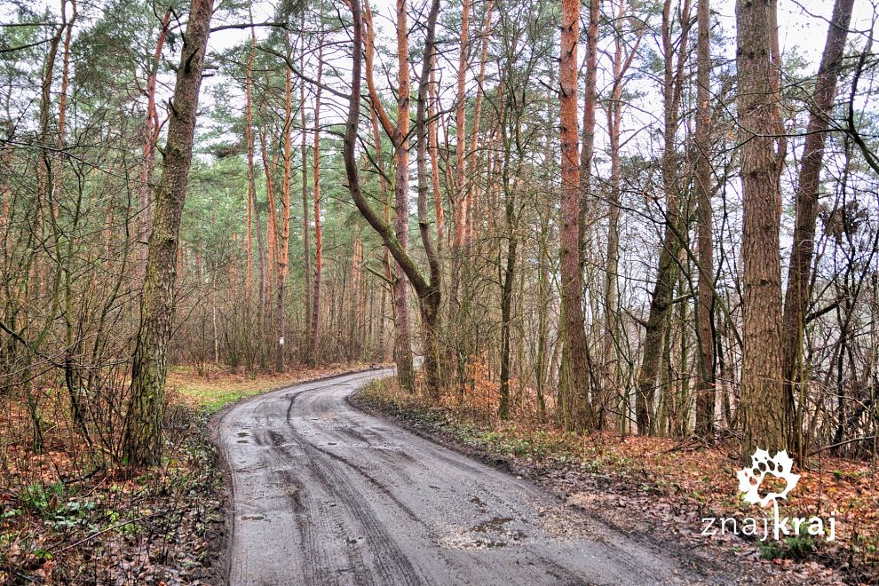 konny-szlak-nad-warta-lodzkie-2017-szymo