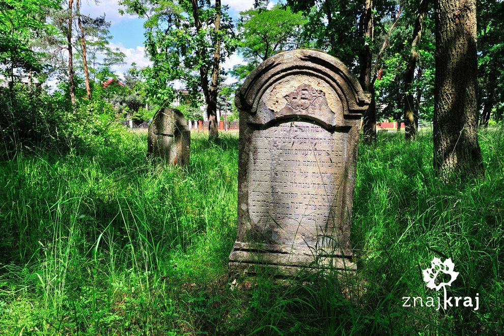macewa-na-cmentarzu-zydowskim-w-szczucin
