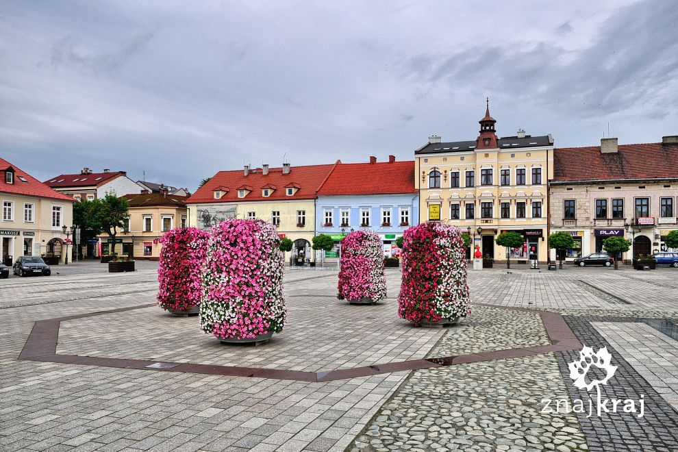 na-rynku-w-oswiecimiu-wisla-2017-szymon-