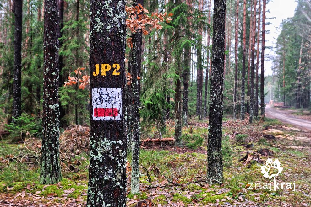 Oznakowanie szlaku papieskiego w Puszczy Augustowskiej