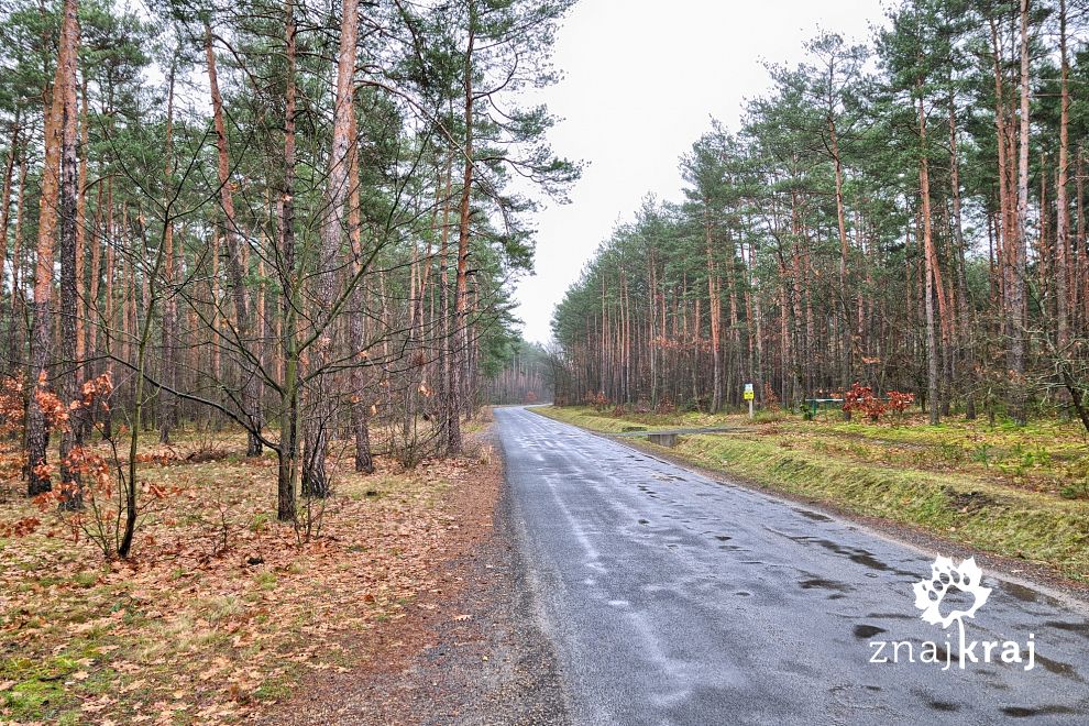 trasa-lodzkiego-szlaku-konnego-pod-radom