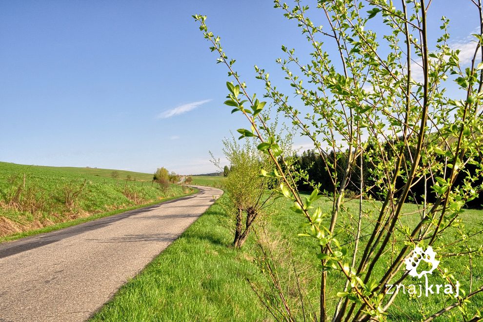 wiosna-na-rowerowym-szlaku-w-beskidzie-n