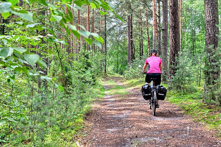 Leśna odnoga rowerowego szlaku