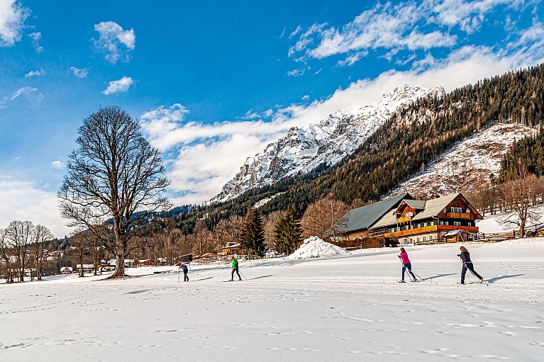 Narciarska trasa biegowa w Ramsau am Dachstein Narciarska trasa biegowa w Ramsau am Dachstein