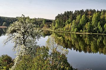 Jezioro Żabi Róg Jezioro Żabi Róg
