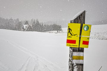 Śnieżyca przed schroniskiem PTTK w Pasterce Śnieżyca przed schroniskiem PTTK w Pasterce