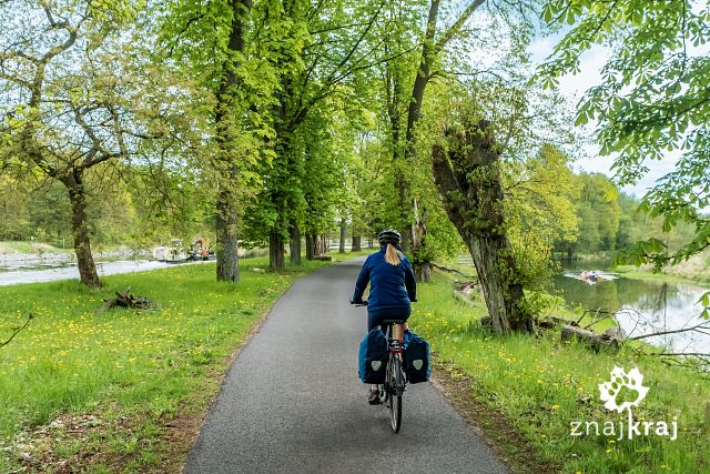 [Obrazek: droga-rowerowa-miedzy-sprewa-a-kanalem-o...-04878.jpg]