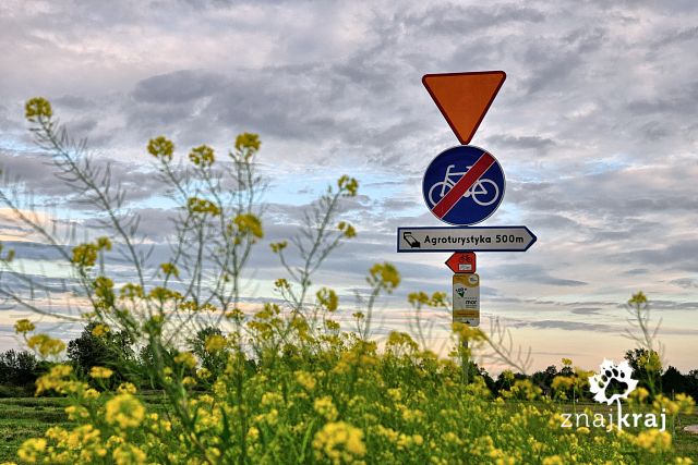 Drogowskazy wskazujące miejsca noclegowe