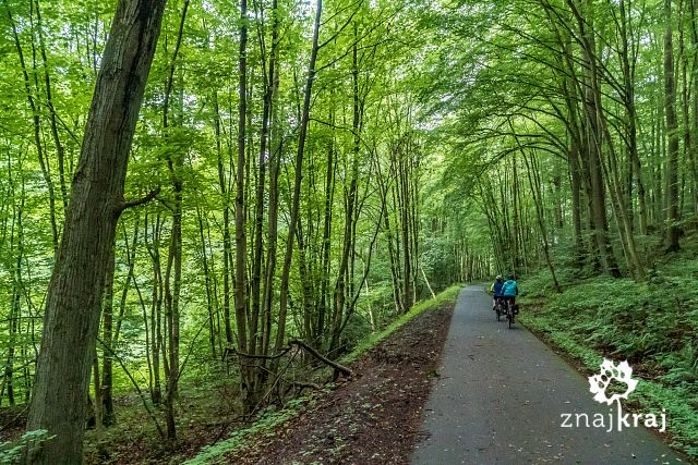 Kolejowy Szlak Rowerowy Hesji przez las