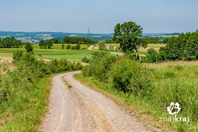 Szlak rowerowy Green Velo za Dynowem