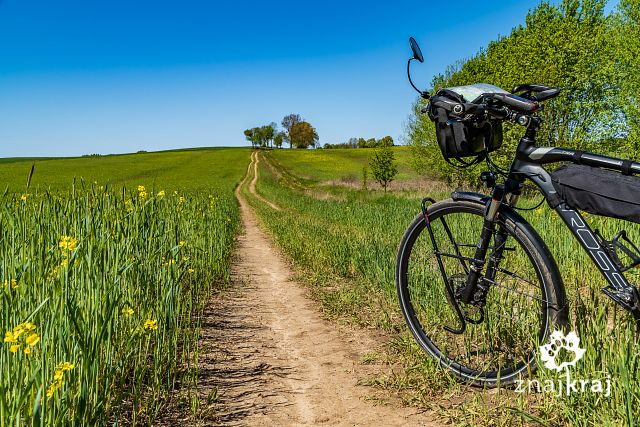 rowerowy-szlak-po-polnej-drodze-kolo-sal