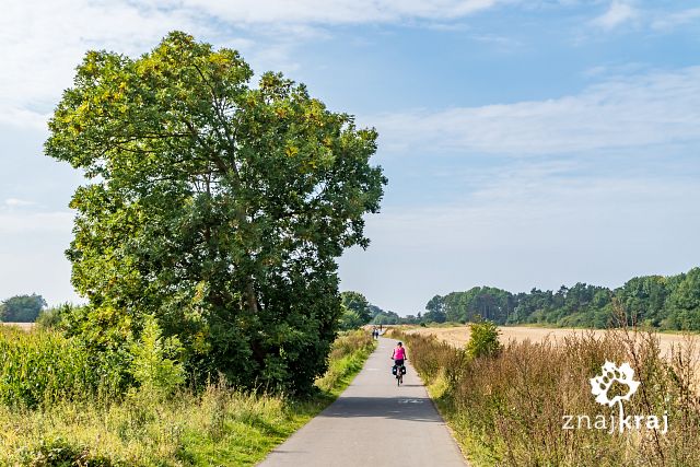 trasa-rowerowa-szlaku-eurovelo-10-kolo-m