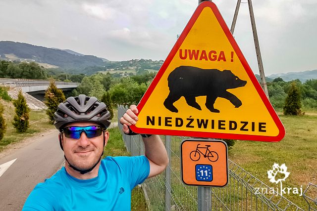 [Obrazek: uwaga-na-niedzwiedzie-w-beskidzie-sadeck...172230.jpg]