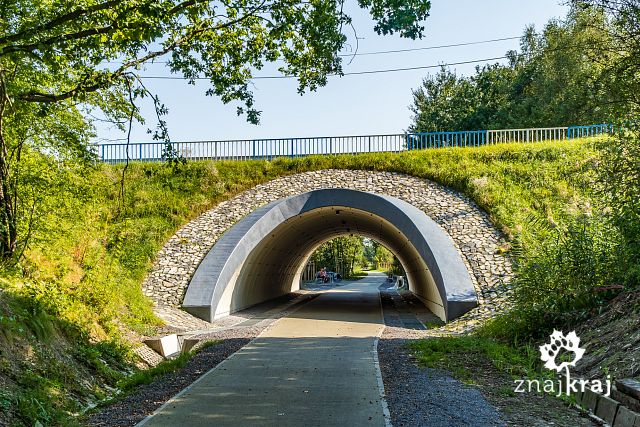 wiadukt-na-szlaku-rowerowym-slask-cieszy