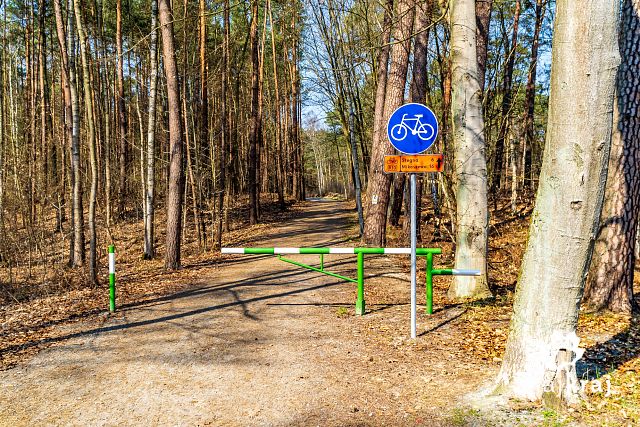 [Obrazek: wjazd-na-lesna-droge-rowerowa-w-sztutowi...-06304.jpg]