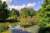 Arboretum w Bolestraszycach