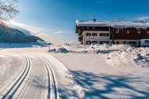 Gospodarstwo rolne przy trasie