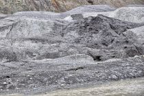 Jeden z jęzorów Skaftafellsjökull Jeden z jęzorów Skaftafellsjökull