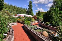Naturalne ekspozycje w arboretum