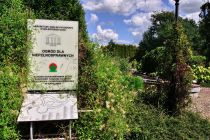 Ogród dla niepełnosprawnych w Bolestraszycach
