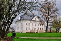 Pałac w Boryni Pałac w Boryni