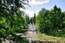 Sceny z bolestraszyckiego arboretum