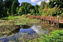 Staw w arboretum w Bolestraszycach
