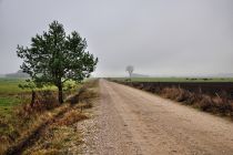Szlak rowerowy koło Kinic Szlak rowerowy koło Kinic