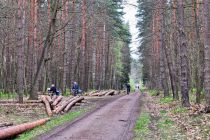Szlak rowerowy koło Żor Szlak rowerowy koło Żor