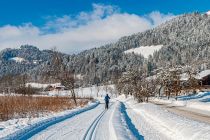 Trasa narciarstwa biegowego w Kaiserwinkl