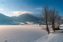 Walchsee, w tle Alpy