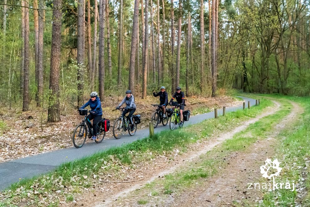 asfaltowa-droga-rowerowa-obok-lesnej-dro