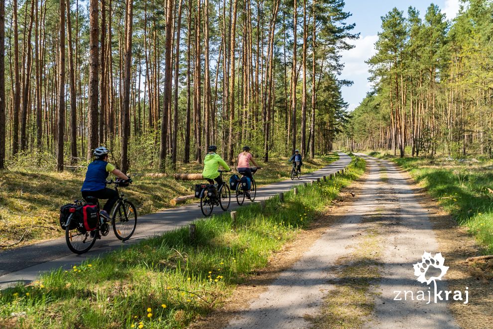 brandenburgia-droga-rowerowa-obok-drogi-