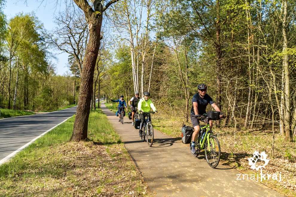 brandenburgia-droga-rowerowa-obok-szosy-