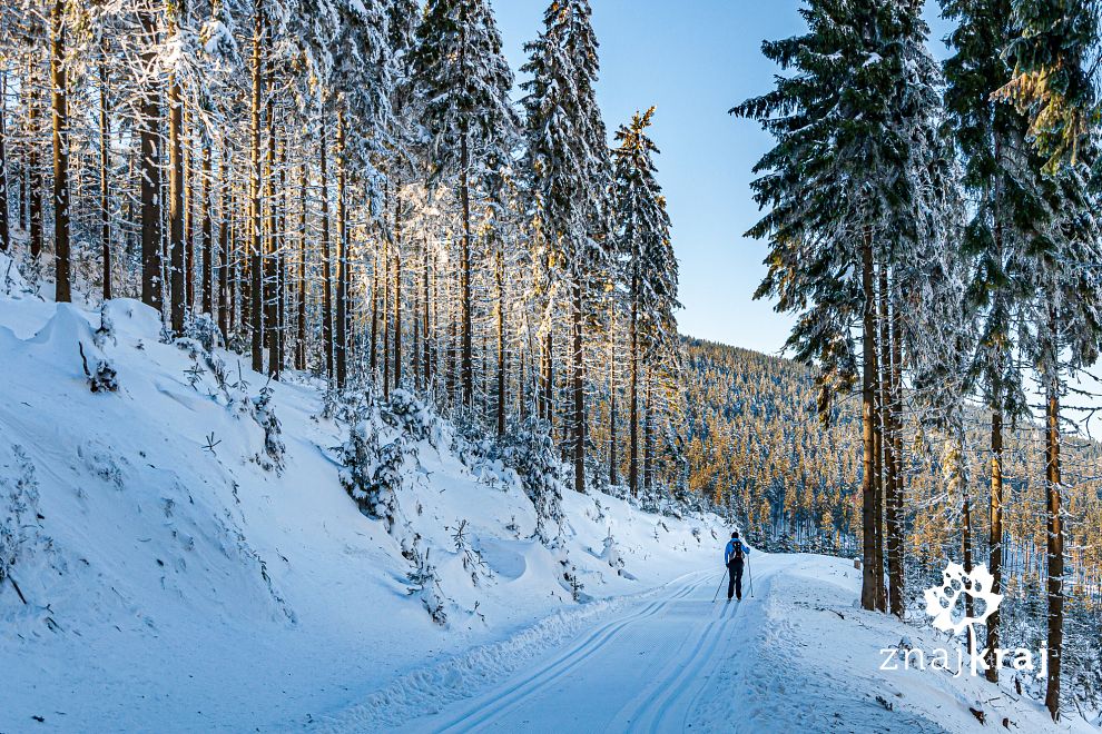 Szlak narciarski pod Masywem Śnieżnika