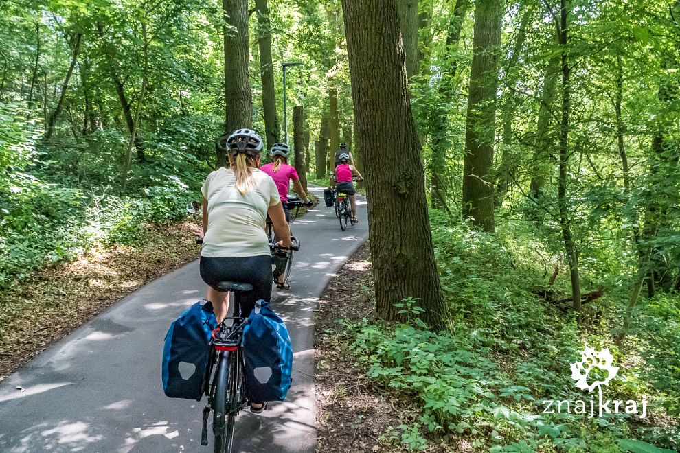 Droga rowerowa koło Fürth we Frankonii