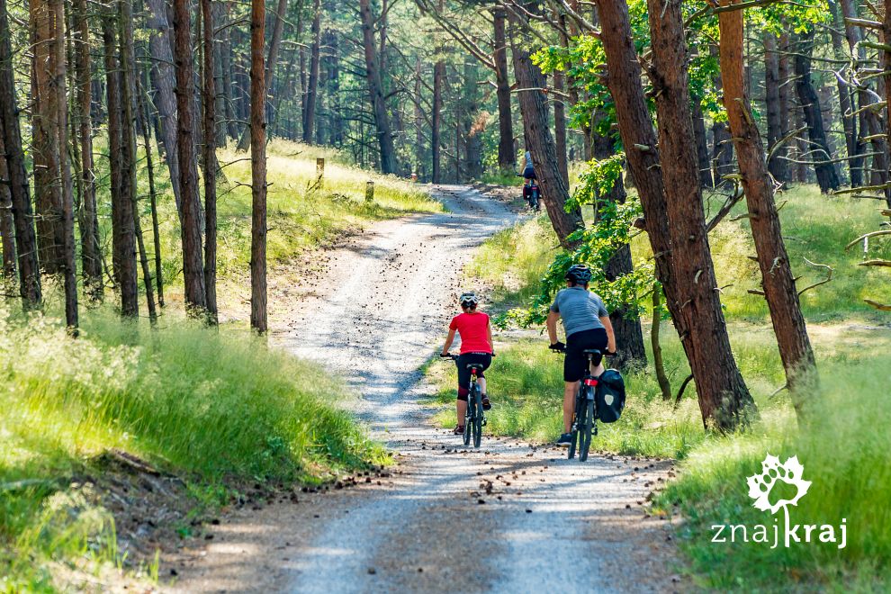 droga-rowerowa-kolo-krynicy-morskiej-nad